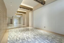 Teo Hong Road (D2), Shop House #457357071